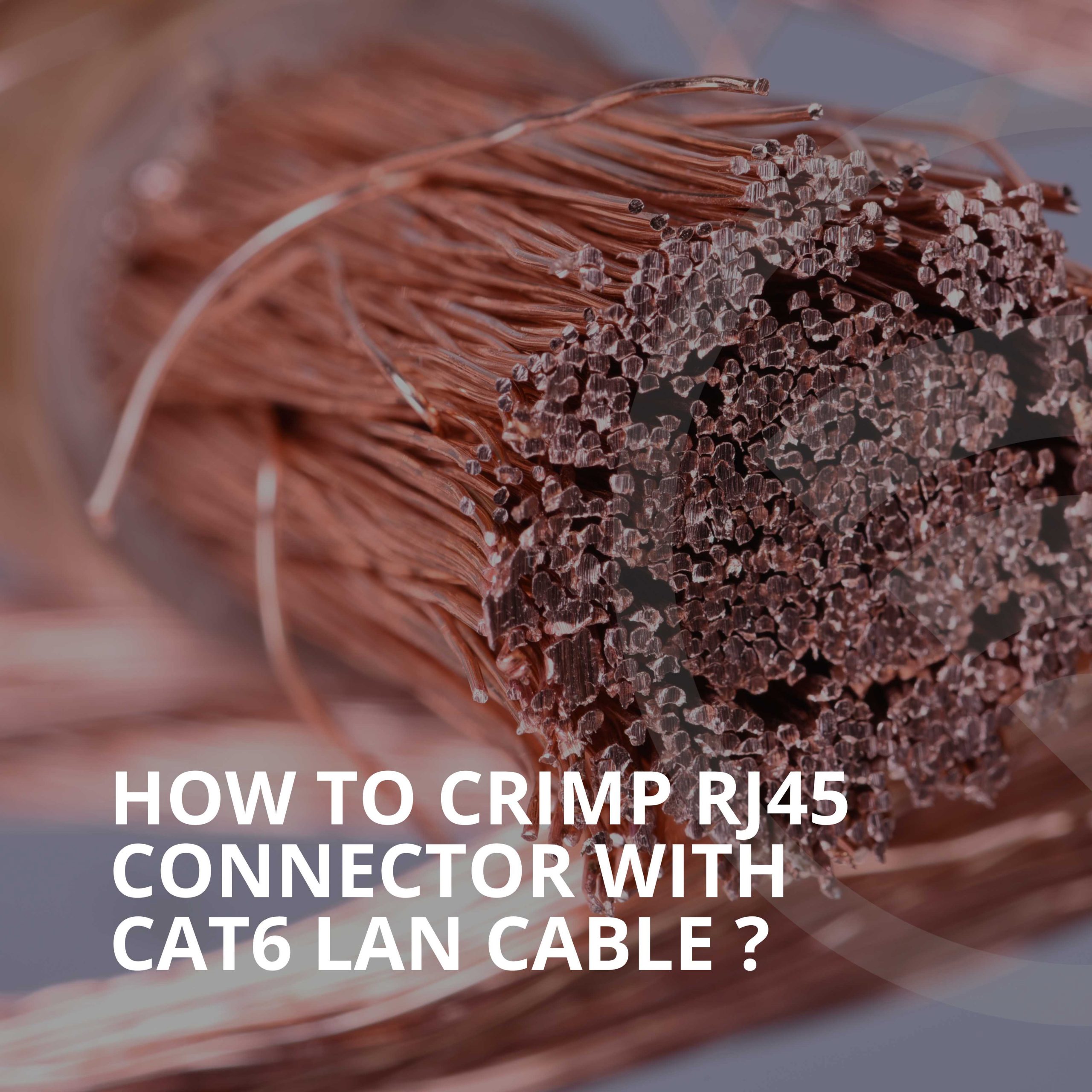How To Crimp an RJ45 Connector With a Cat6 LAN Cable?