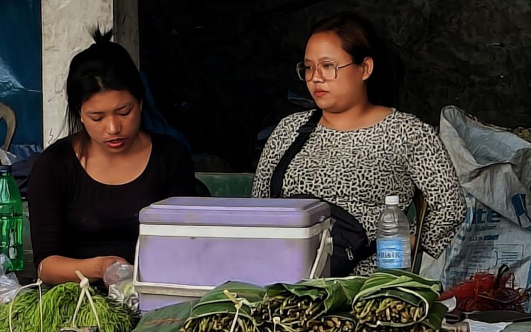 The Role of Women in Mizoram’s Informal Economy: Strength, Resilience, and Leadership